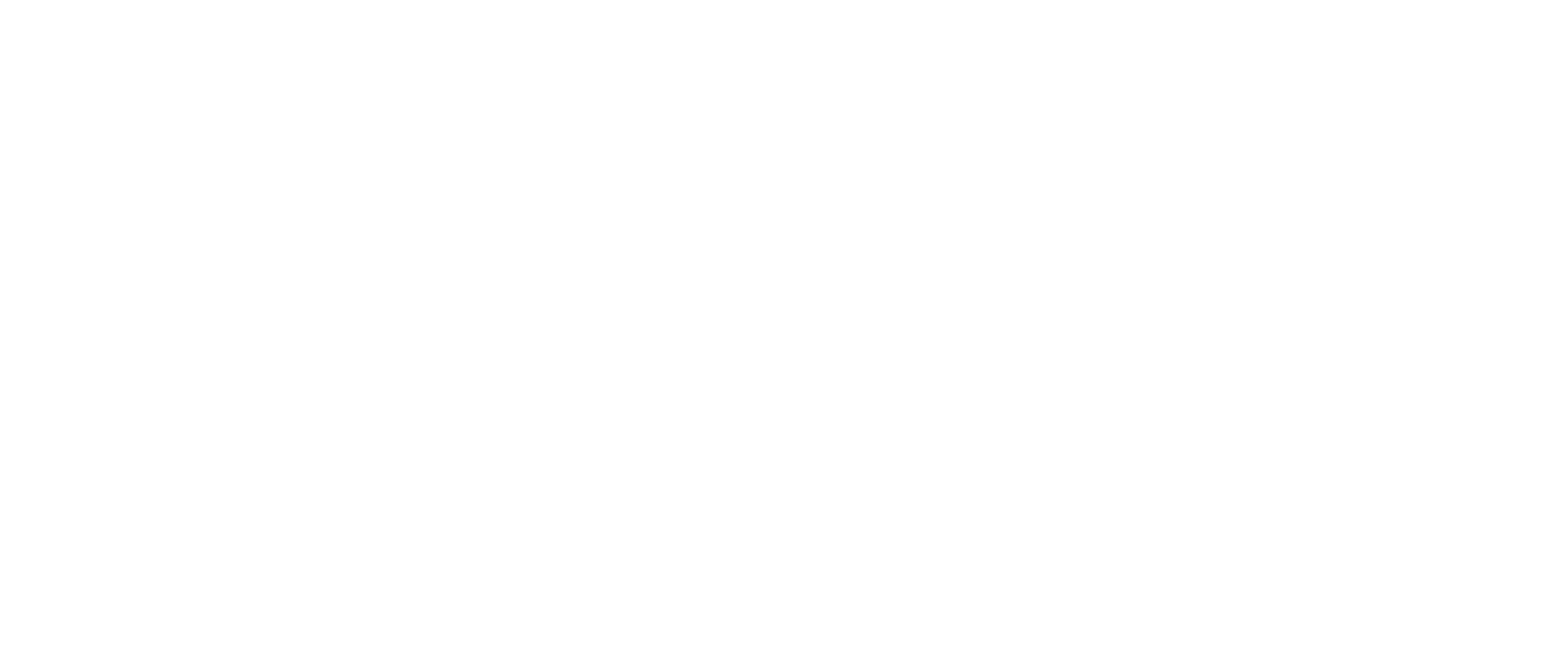 SAM AI Solutions