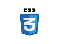 CSS3 Logo