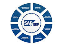 SAP ERP